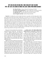 Kết cấu kè bảo vệ mái dốc, tính toán kết cấu tự chèn PĐTCM5874 và chân kè HWRUTOE2001 bằng phần mềm Abaqus