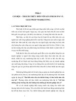 Cơ hội – thách thức đối với sản phẩm ps và giải pháp marketing 