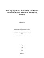 Gene targeting in human pluripotent cell derived neural stem cells for the study and treatment of neurological disorders