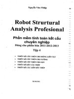 Sách học robot structural analysis professional tập 4
