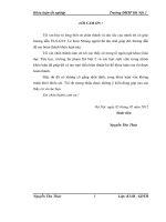 Giá trị sử dụng của câu đặc biệt trong tiểu thuyết quê nội và tảng sáng của võ quảng 