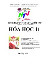 Tổng hợp lý thuyết và bài tập cơ bản nâng cao hóa học 11