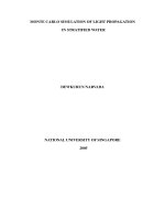 Monte carlo simulation of light propagation in stratified water