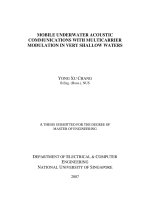 Mobile underwater acoustic communications with multicarrier modulation in very shallow waters