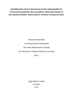 Opioidtherapie und ihre auswirkung auf die lebensqualität von tumorschmerzpatienten  eine prospektive observationsstudie zu den opioiden morphin, hydromorphon, fentanyl und buprenorphin