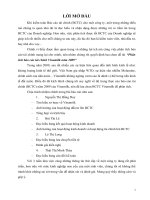 Phân tích báo cáo tài chính Vinamilk năm 2009