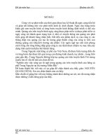 Nghiên cứu việc sáng tạo từ ngữ trong quảng cáo trên truyền hình của hãng cà phê Trung Nguyên tại thị trường Miền Bắc