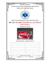 Bài tiểu luận tìm hiểu bao bì của sản phẩm coca cola