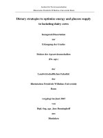 Dietary strategies to optimize energy and glucose supply to lactating dairy cows