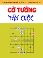 Cờ tướng tàn cuộc Những ván cờ tàn cơ bản và thực dụng