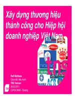 Slide xây dựng thương hiệu thành công cho hiệp hội doanh nghiệp việt