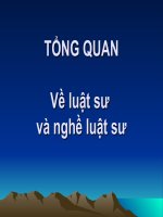Tổng Quan Về Luật Sư Và Nghề Luật Sư