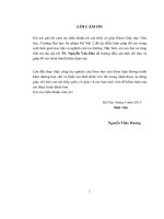 Phương pháp giả thiết tạm giải một số bài toán ở tiểu học 