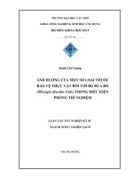 ảnh hưởng của một số loại thuốc bảo vệ thực vật đối với bọ rùa đỏ (micrapis discolor fab.) trong điều kiện phòng thí nghiệm