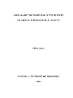 Nonparametric modeling of the effects of air pollution on public health