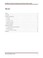 TÍNH ỔN ĐỊNH CỦA LYCOPEN TRONG QUÁ TRÌNH SẤY PHUN CÀ CHUA BỘT NHÃO