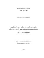 nghiên cứu quy trình sản xuất sản phẩm bánh nướng cá tra (pangasianodon hypophthalmus) sauce mayonnaise