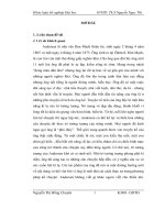 Nghệ thuật xây dựng nhân vật chính trong truyện cổ ANDERSEN 