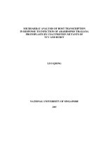 Microarray analysis of host transcription in response to infection of arabidopsis thaliana protoplasts by coat protein mutants of TCV and HCRSV