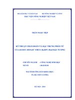 kỹ thuật chẩn đoán và đặc trưng phân tử của kudzu mosaic virus (kumv) hại đậu tương