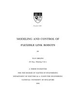 Modeling and control of flexible link robots