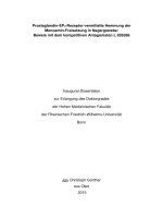 Prostaglandin EP 3  rezeptor vermittelte hemmung der  monoamin freisetzung in nagergewebe beweis mit dem kompetitiven antagonisten l 826266