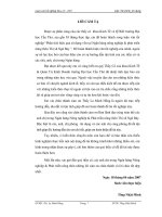 ĐÁNH GIÁ HIỆU QUẢ SỬ DỤNG VỐN ĐỐI VỚI HỆ SẢN XUẤT NÔNG NGHIỆP TẠI NGÂN HÀNG NÔNG NGHIỆP VÀ PHÁT TRIỂN NÔNG THÔN THỊ XÃ NGÃ BẢY