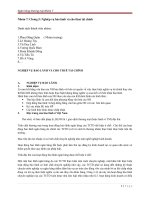 nghiệp vụ bảo lãnh và cho thuê tài chính