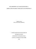 Metabotropic glutamate receptor 1 alpha modulation of soman induced status epilepticus
