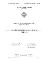 Tội giết người trong luật hình sự việt nam 