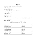 PHÂN TÍCH NGANG, DỌC BÁO CÁO KẾT QUẢ KINH DOANH CỦA CÔNG TY CỔ PHẦN SỮA VIỆT NAMVINAMILK