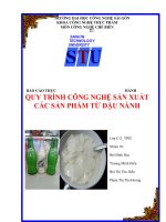 Báo cáo thực hành quy trình công nghệ sản xuất các sản phẩm từ đậu nành
