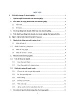 phân tích đánh giá khả năng, thực trạng và xây dựng chiến lược kinh doanh quốc tế của một doanh nghiệp việt nam nổi bật trong nghành công nghệ ô tô