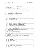 Phiếu phân tích chiến lược doanh nghiệp thị trường việt nam năm 2009 2012