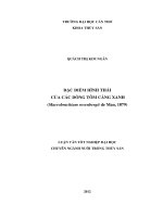 đặc điểm hình thái của các dòng tôm càng xanh (macrobrachium rosenbergii de man, 1879)