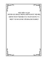 HOẠT ĐỘNG KIỂM SOÁT NỘI BỘ, KIỂM TOÁN NỘI BỘ NGÂN HÀNG VÀ MỘT VÀI SO SÁNH VỚI DOANH NGHIỆP