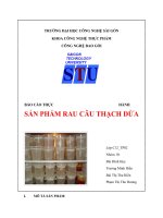 Báo cáo thực hành sản phẩm rau cau thạch dừa