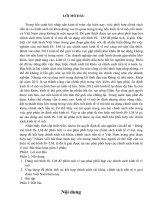 Dùngmô hình IS- LM để phân tích vì sao phải phối hợp các chính sách kinh tế vĩ mô, ứngdụng để kết hợp chính sách tài khóa, chính sách tiền tệ ở Việt Nam trong giai đoạn hiện nay