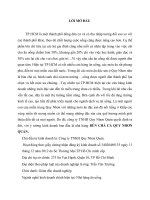 lập dự án kinh doanh bún chả cá