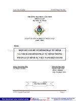 Một số vấn đề về hình phạt tử hình và thi hành hình phạt tử hình trong pháp luật hình sự việt nam hiện hành 