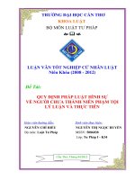 quy định pháp luật hình sự về người chưa thành niên phạm tội lý luận và thực tiễn 