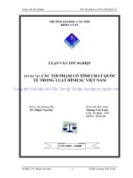 các tội phạm có tính chất quốc tế trong luật hình sự việt nam 