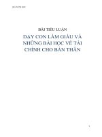 DẠY CON LÀM GIÀU VÀN HỮNG BÀI HỌC VỀ TÀI CHÍNH CHO BẢN THÂN