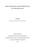 Packet level quality of service analysis of multiclass services in a WCDMA mobile network