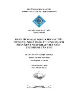 phân tích hoạt động cho vay tiêu dùng tại ngân hàng thương mại cổ phần xuất nhập khẩu cần thơ