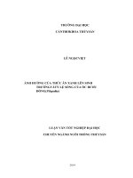 ẢNH HƯỞNG của THỨC ăn XANH lên SINH TRƯỞNG và tỷ lệ SỐNG của ốc bươu ĐỒNG (pila polita 