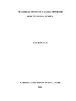 Numerical study of a large diameter shaft in old alluvium