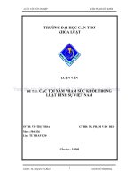 Các tội xâm phạm sức khỏe trong luật hình sự việt nam 