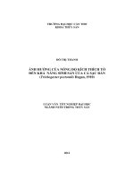 ảnh hưởng của nồng độ kích thích tố đến khả năng sinh sản của cá sặc rằn (trichogaster pectoralis regan, 1910)