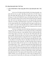 III  chứng khoán phái sinh ở VN